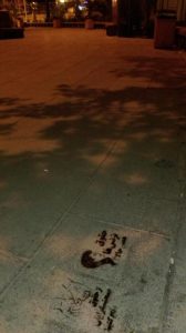 حمایت عملی کمیته از حقوق دگرباشان جنسی