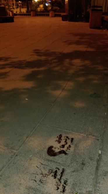 حمایت عملی کمیته از حقوق دگرباشان جنسی