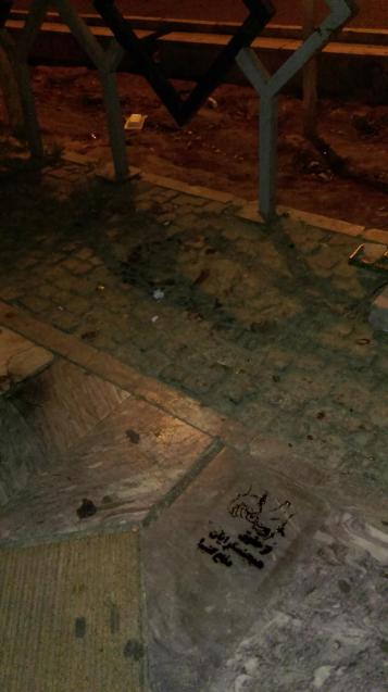 حمایت عملی کمیته از حقوق دگرباشان جنسی