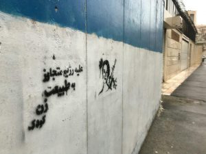 نیلوفر بیانی محیط زیست (1)