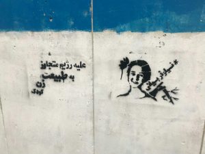 نیلوفر بیانی محیط زیست (2)