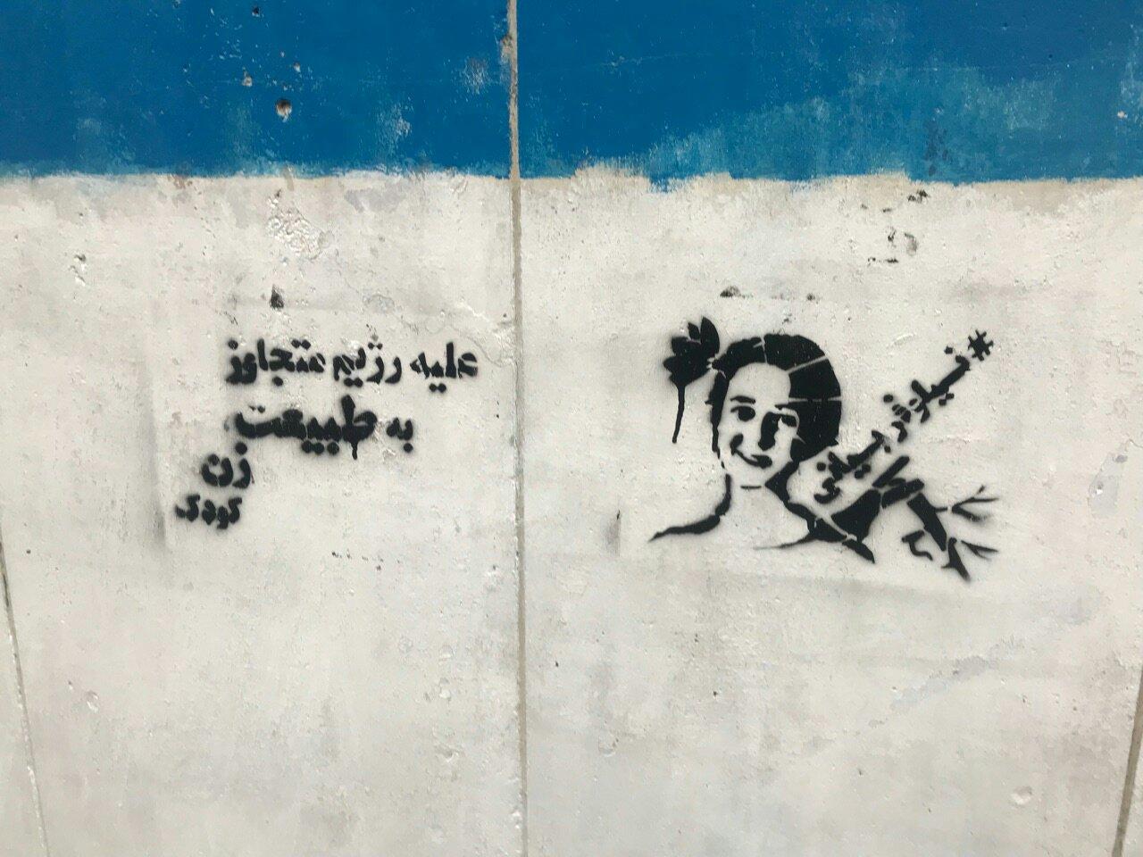 نیلوفر بیانی محیط زیست (2)