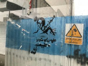 نیلوفر بیانی محیط زیست (6)