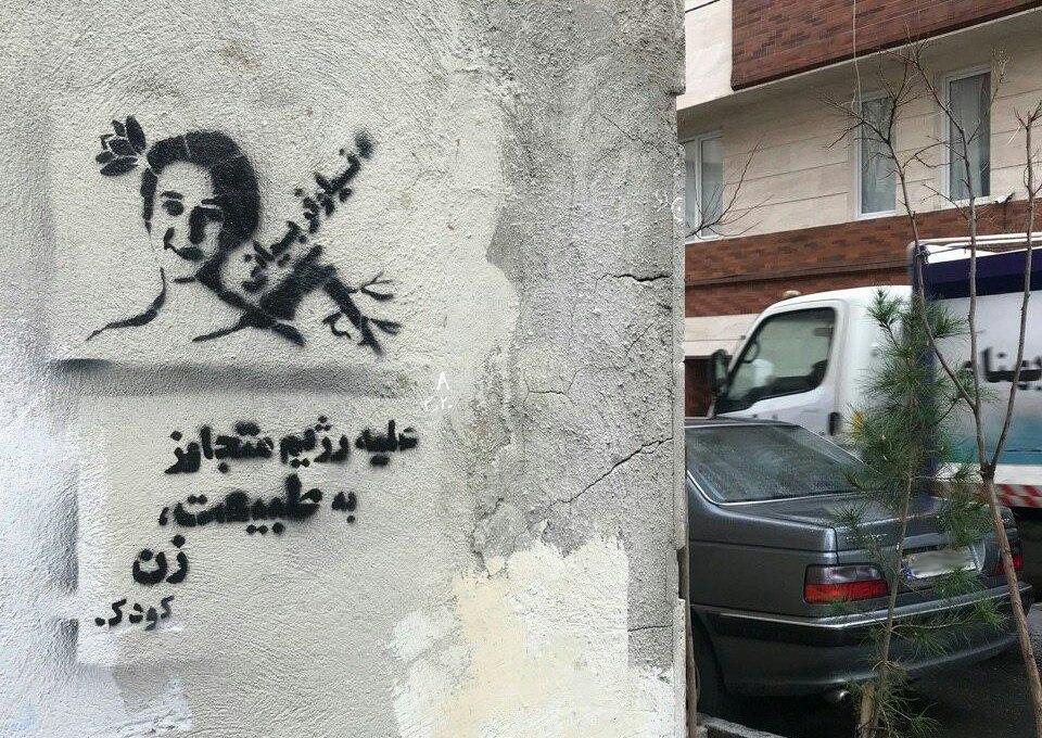 نیلوفر بیانی محیط زیست (7)