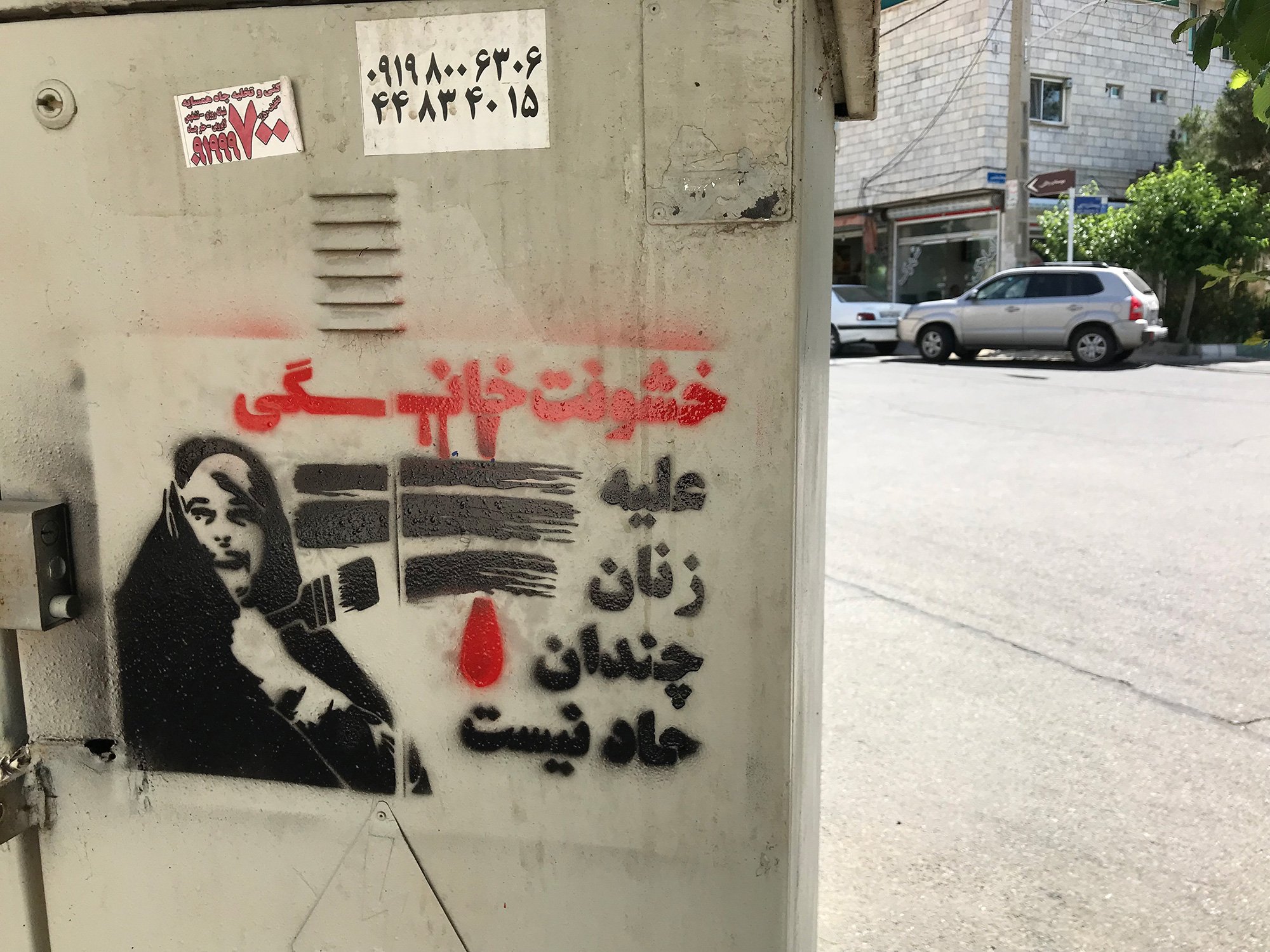 گرافیتی معصومه ابتکار - معاونت زنان ریاست جمهوری (1)