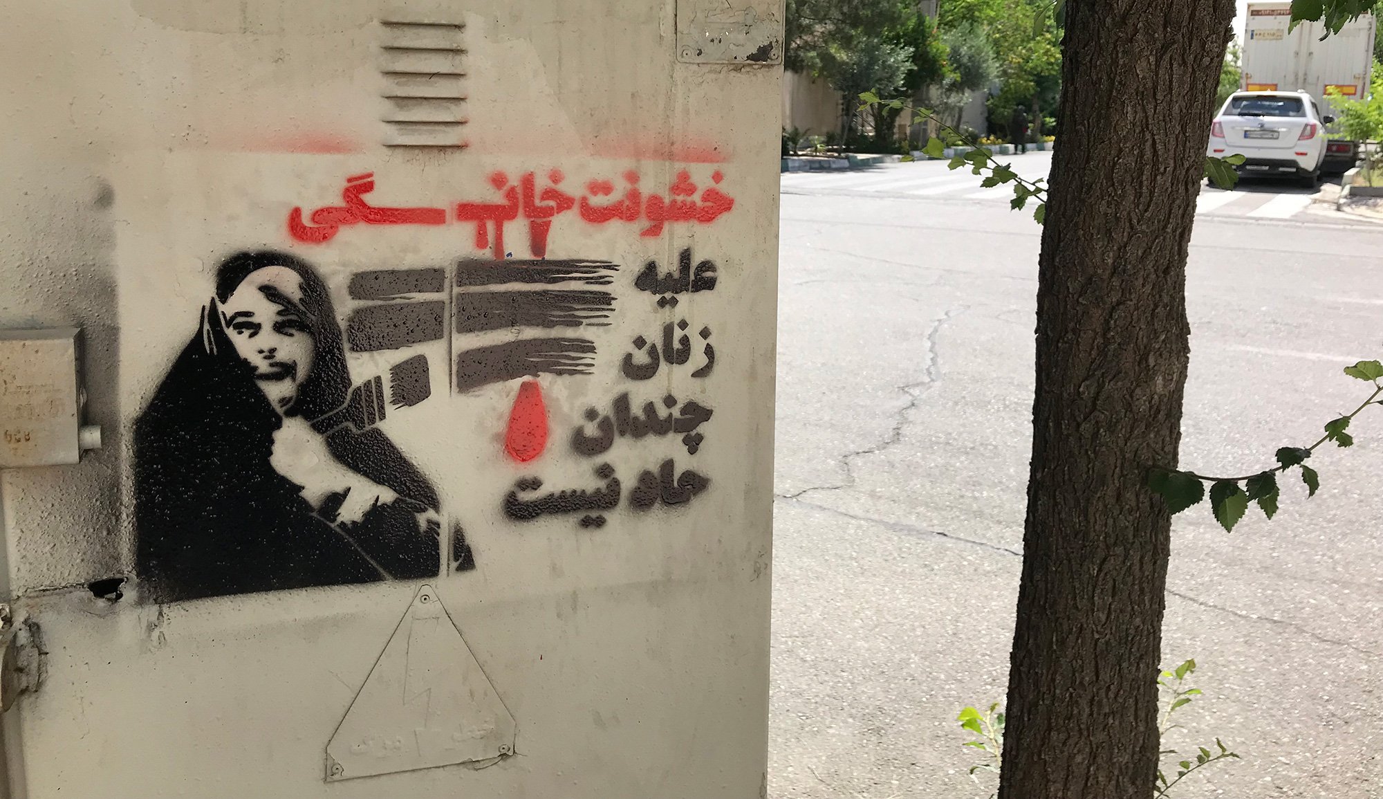 گرافیتی معصومه ابتکار - معاونت زنان ریاست جمهوری (2)