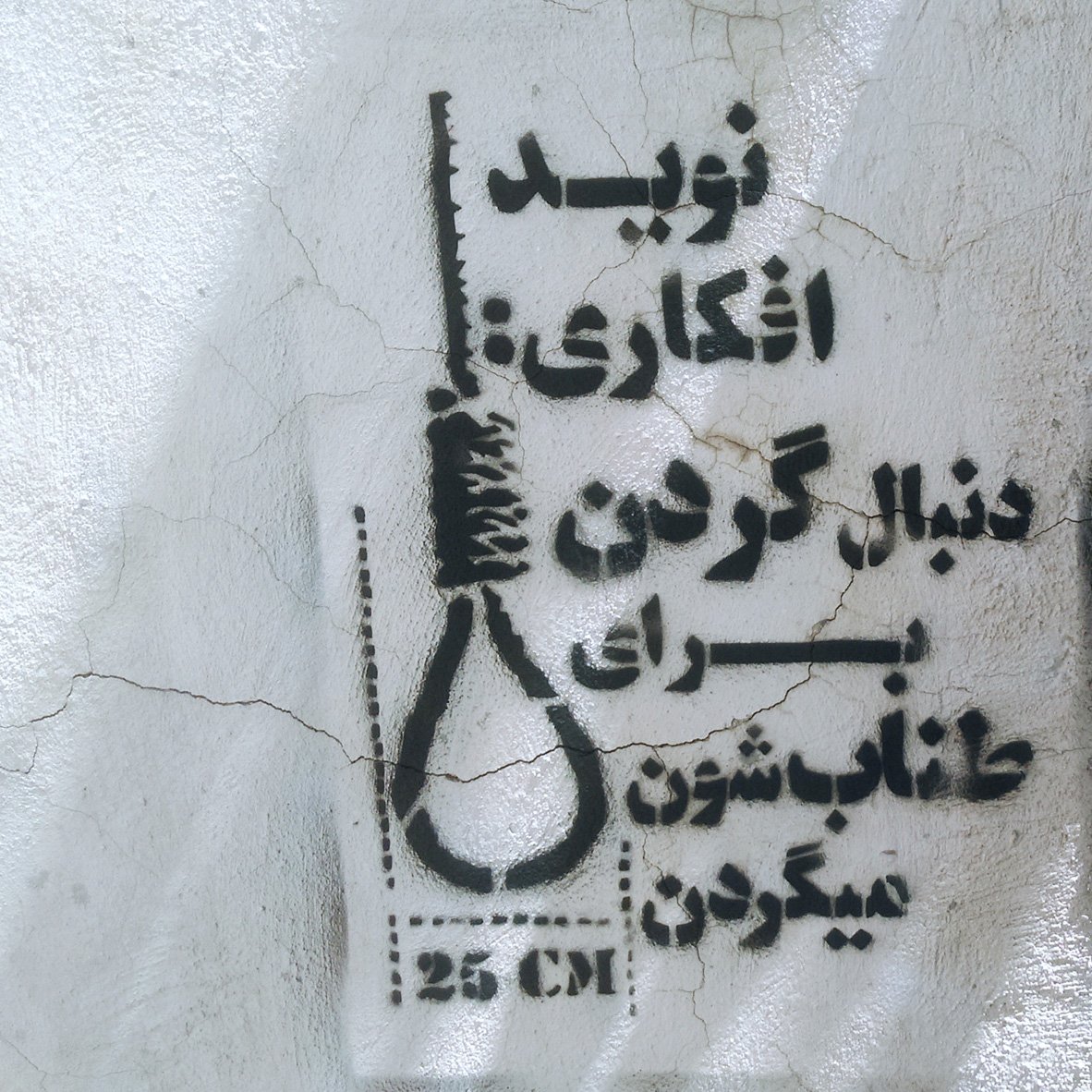 دنبال گردن برایط طناب دار میگردند