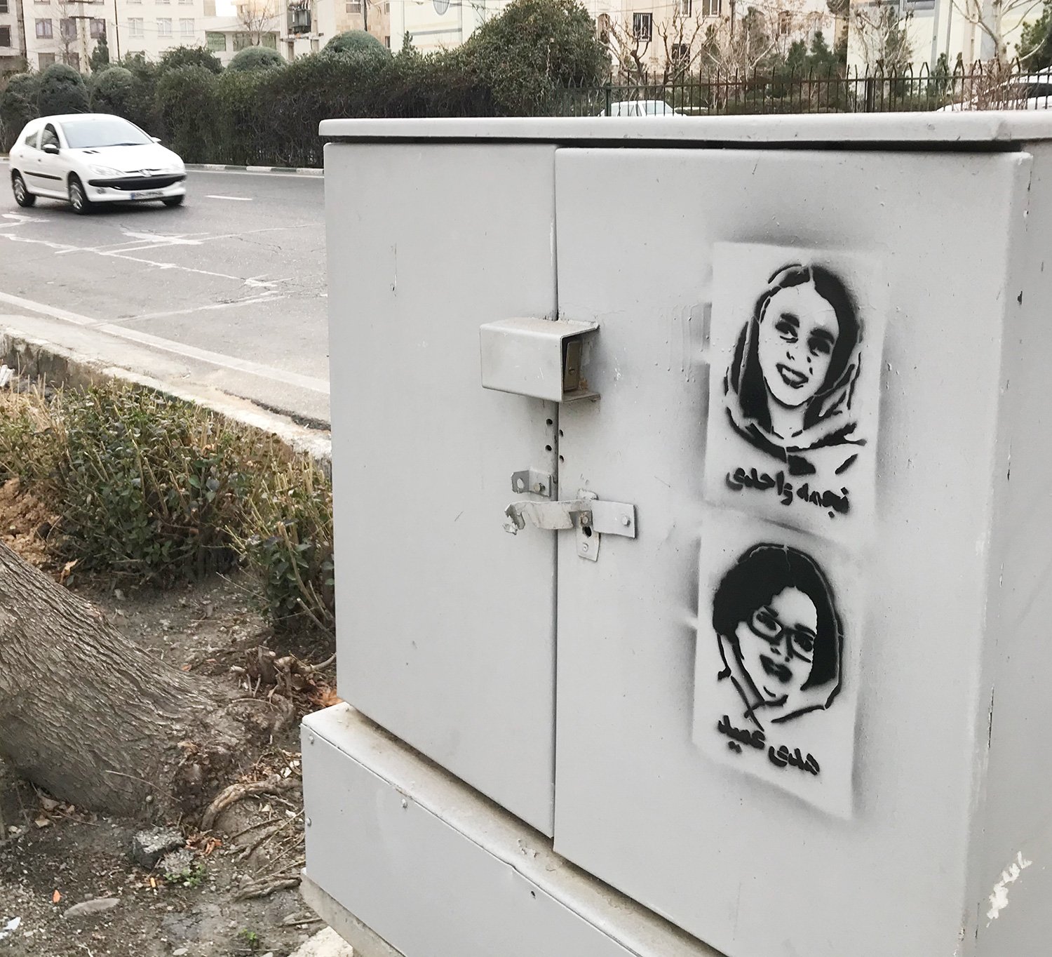 نجمه واحدی و هدی عمید - گرافیتی (4)