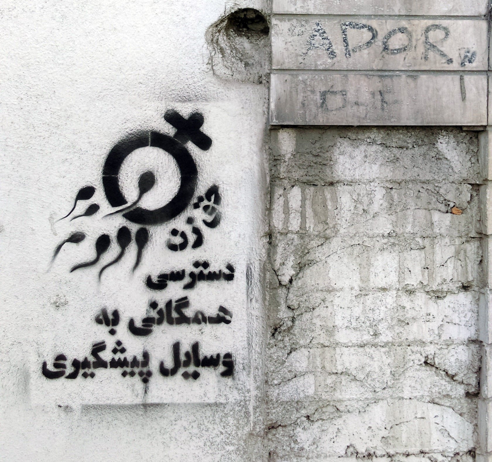 گرافیتی علیه طرح جوانی جمعیت-دسترسی همگانی به وسایل پیشگیری، حق زن (2)