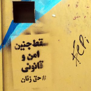 گرافیتی علیه طرح جوانی جمعیت-سقط جنین امن و قانونی، حق زنان (9)