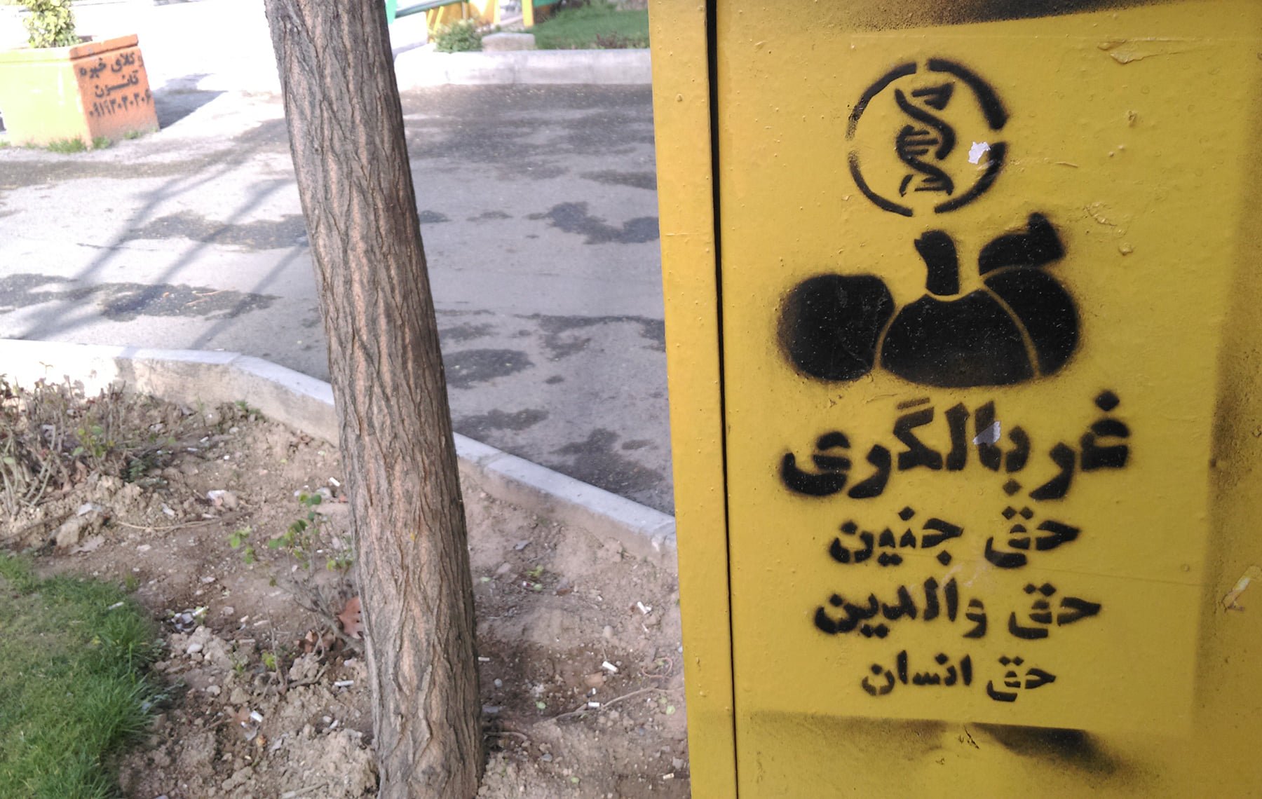 گرافیتی علیه طرح جوانی جمعیت-غربالگری ژنتیک جنین (11)