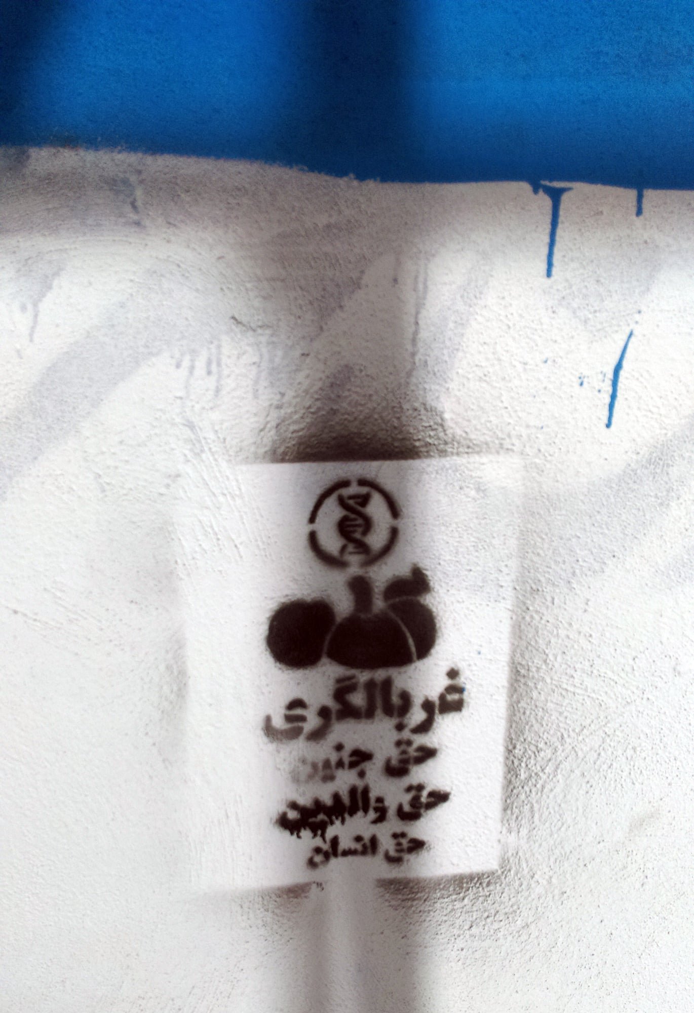 گرافیتی علیه طرح جوانی جمعیت-غربالگری ژنتیک جنین (2)