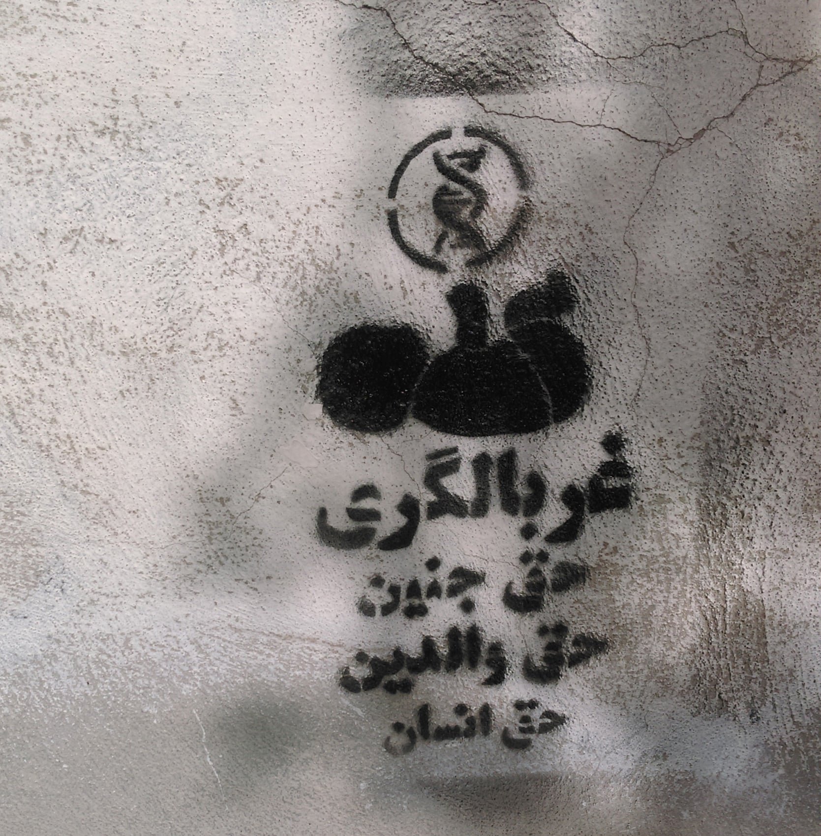 گرافیتی علیه طرح جوانی جمعیت-غربالگری ژنتیک جنین (3)