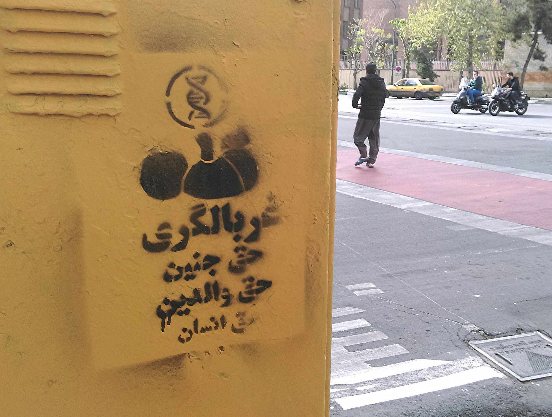 گرافیتی علیه طرح جوانی جمعیت-غربالگری ژنتیک جنین (4)