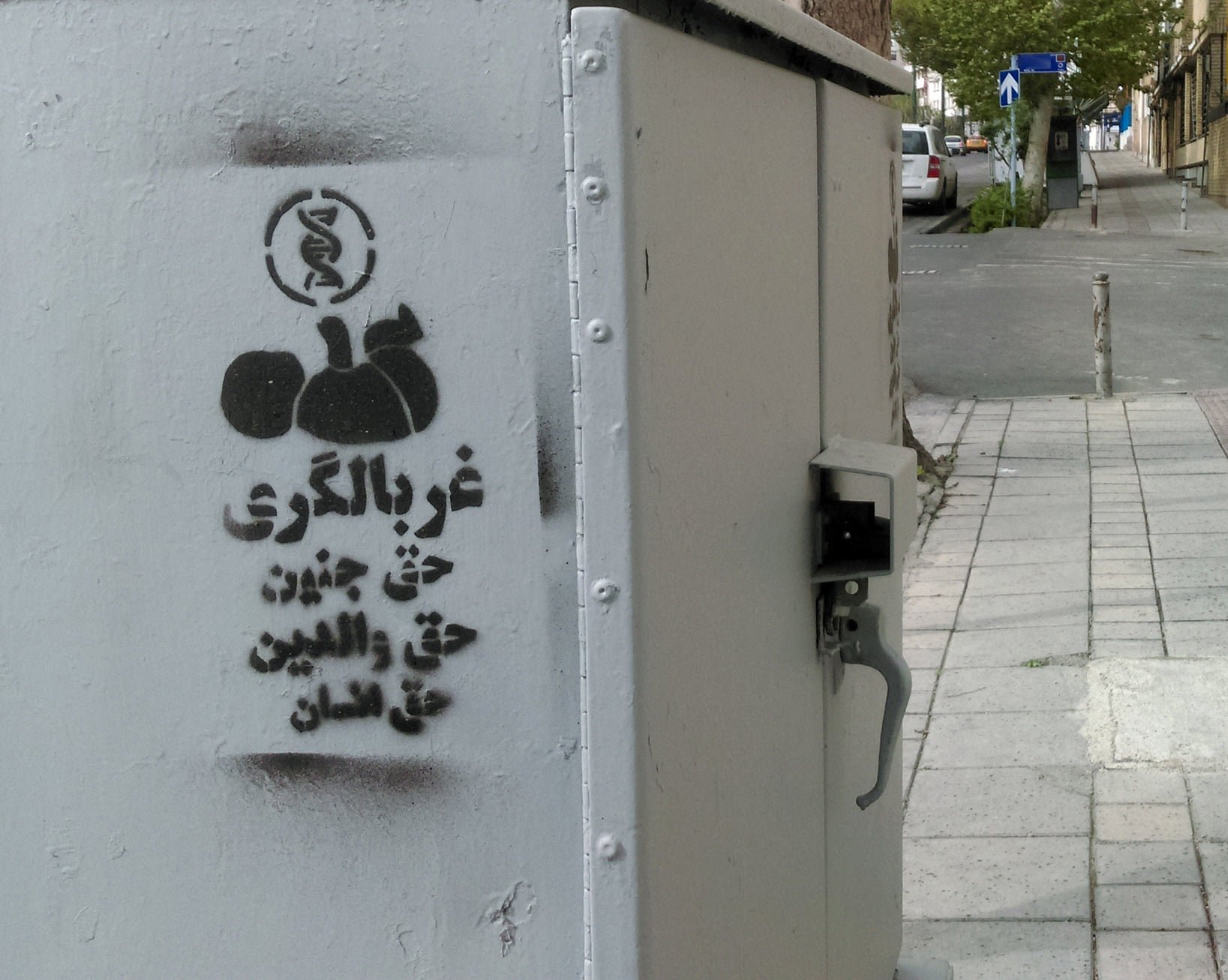 گرافیتی علیه طرح جوانی جمعیت-غربالگری ژنتیک جنین (7)