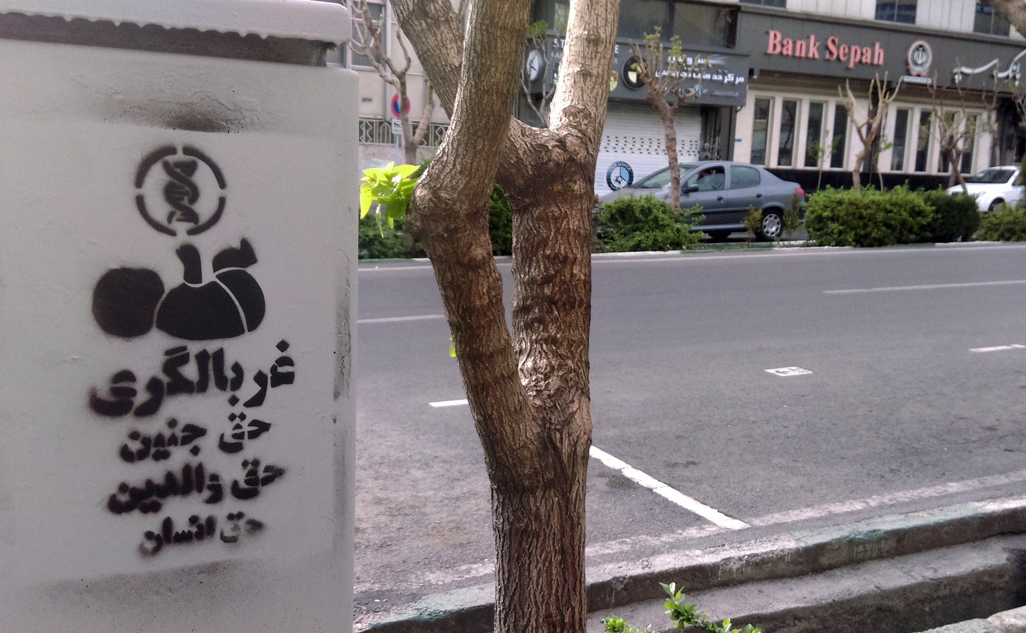 گرافیتی علیه طرح جوانی جمعیت-غربالگری ژنتیک جنین (8)